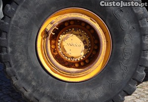 imagem_19