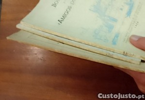 imagem_17