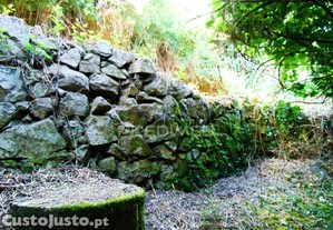 imagem_28