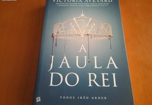 imagem_3