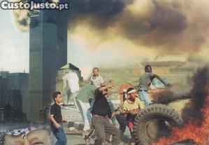 imagem_7