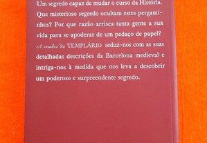 imagem_7