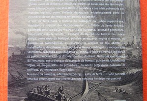 imagem_8