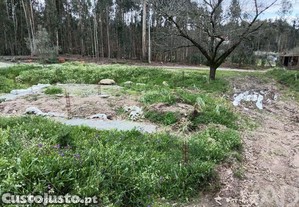 Terreno em São Joaninho