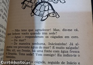 imagem_7