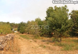 Terreno Para Construção E Exploração Agrícola...