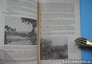 imagem_7