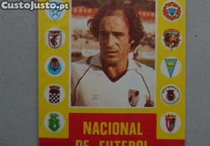 imagem_1
