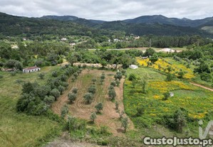 imagem_6