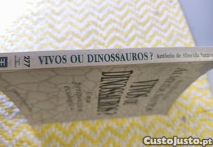 imagem_7