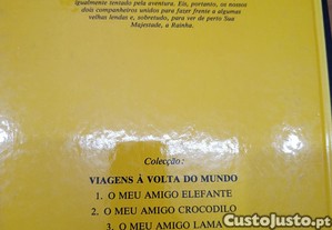 imagem_7