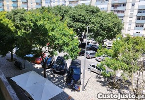 imagem_8
