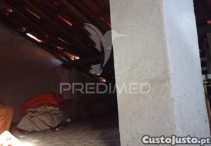 imagem_11