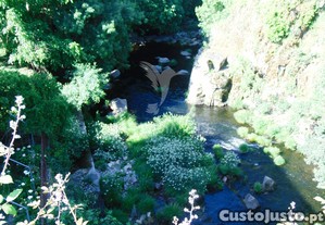 imagem_31