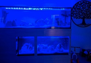 Iluminação Led para aquários Ultimas