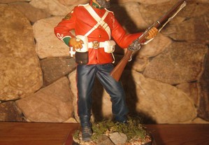 Soldado inglês infantaria Guerra dos Zulus verlinden