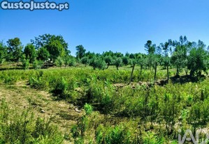 imagem_23