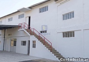 imagem_19