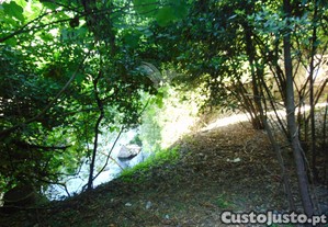 imagem_36