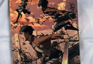 imagem_6