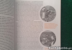imagem_6