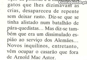 imagem_8