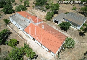 imagem_28