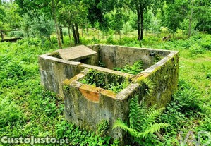 imagem_12