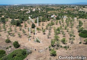 imagem_21