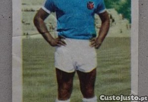 imagem_1