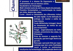 imagem_8