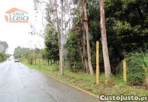 imagem_16