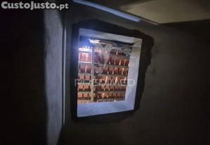 imagem_19