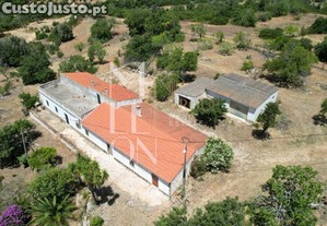 imagem_29