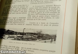 imagem_10