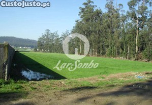 imagem_6