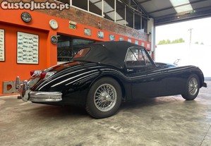 imagem_3