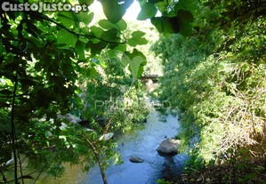imagem_37