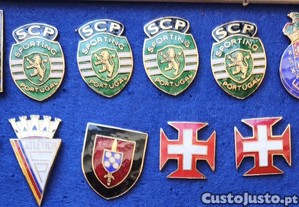 imagem_8