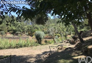 imagem_28