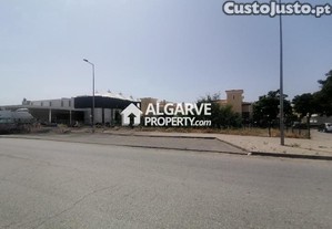 imagem_13