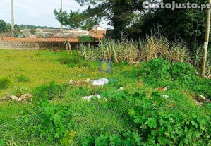 imagem_25