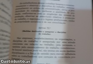 imagem_7