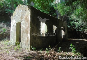 imagem_24