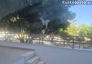 imagem_15