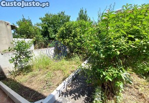 imagem_25