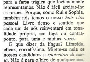 imagem_8