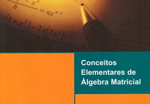Conceitos Elementares de Álgebra Matricial