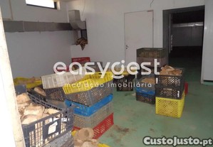 imagem_22
