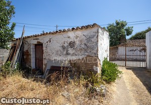 imagem_29